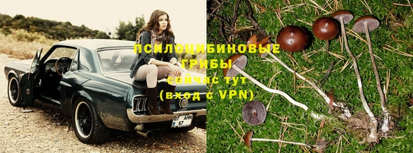 стаф Беломорск