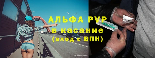стаф Беломорск